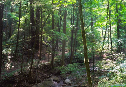 Red River Gorge, June 18, 2010